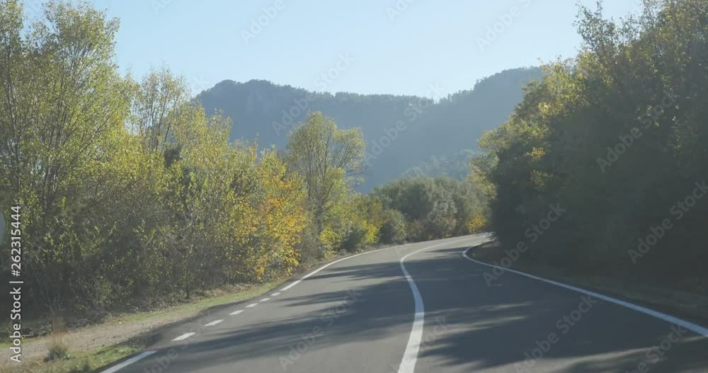 Car on road covered in autumn forest Car on road covered in autumn forest