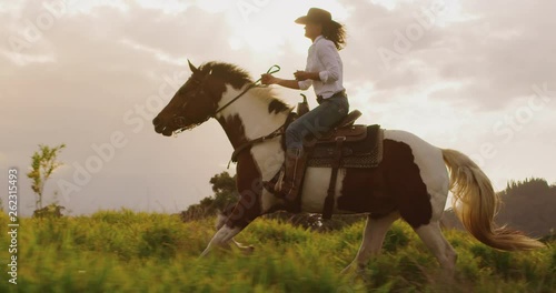 Amazing slow motion horseback riding at sunset, cowgirl riding brown and white horse fast through green fields, tracking shot