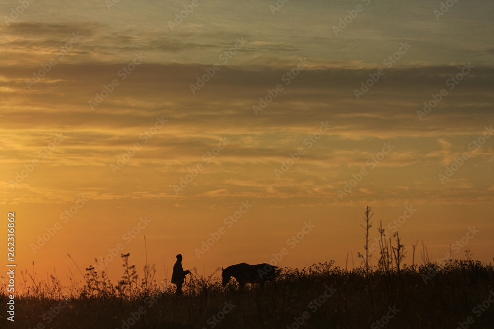 Man and horse silhouette in summer field in the early morning before dawn