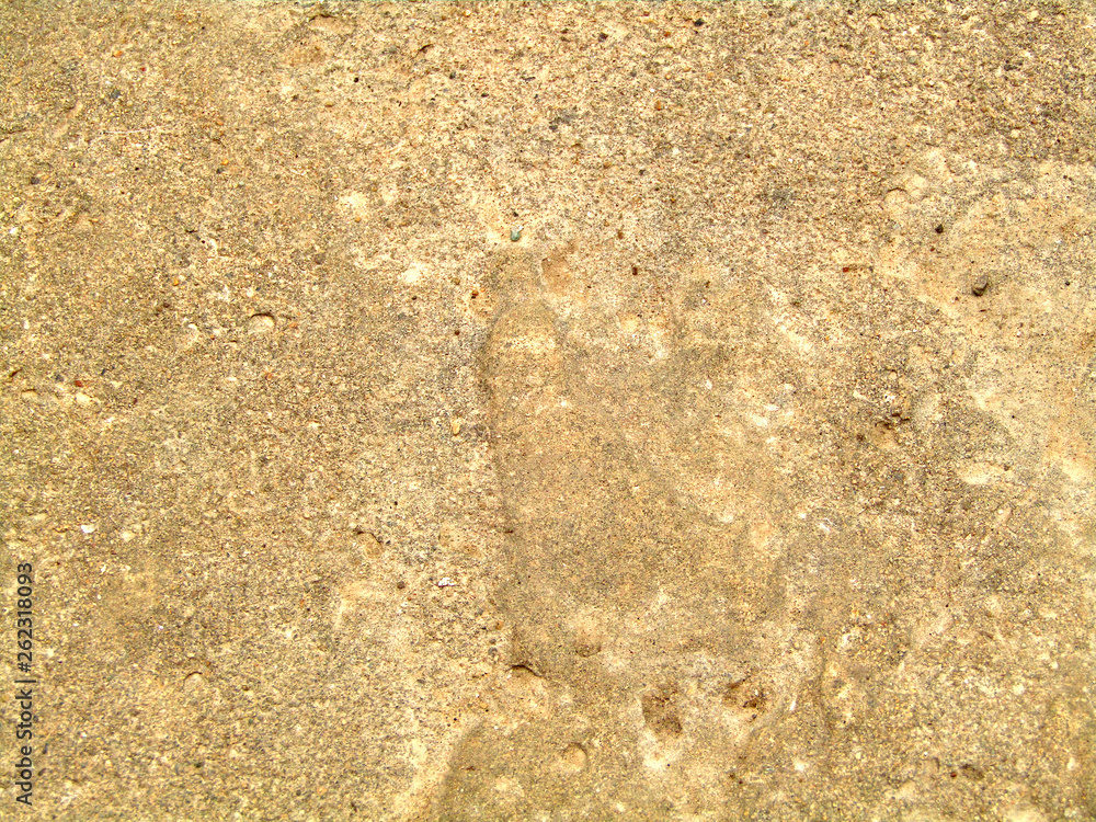Pattern with raw beige stone texture. Natural construction material. Background. Details. Pattern with raw beige stone texture. Natural construction material. Background. Details.