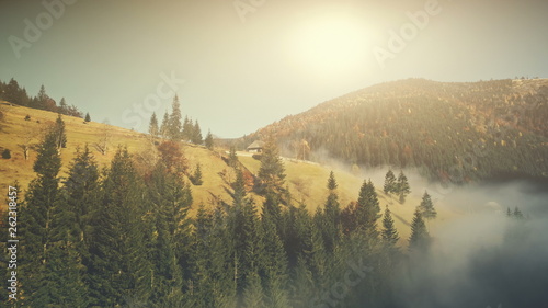 Sunny Autumn Mountainous Landscape Aerial View. Fir Forest Hill Slope Surface Wild Nature Scenery. Thick Fog Ravine Wooden Hut Mountain Meadow Natural Environment Concept Drone Flight