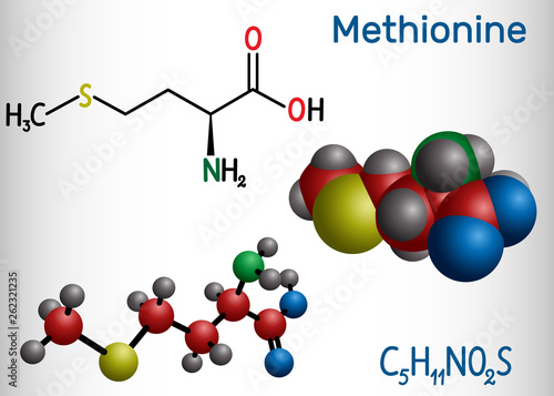 Methionine (l- methionine, Met , M) essential amino acid molecule.  Structural chemical formula and molecule model