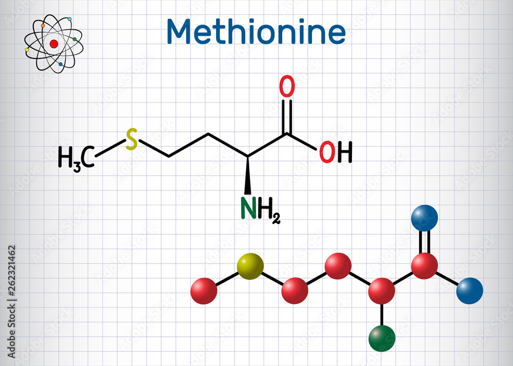 Methionine (l- methionine, Met , M) essential amino acid molecule. Sheet of paper in a cage. Structural chemical formula and molecule model Methionine (l- methionine, Met , M) essential amino acid molecule. Sheet of paper in a cage. Structural chemical formula and molecule model