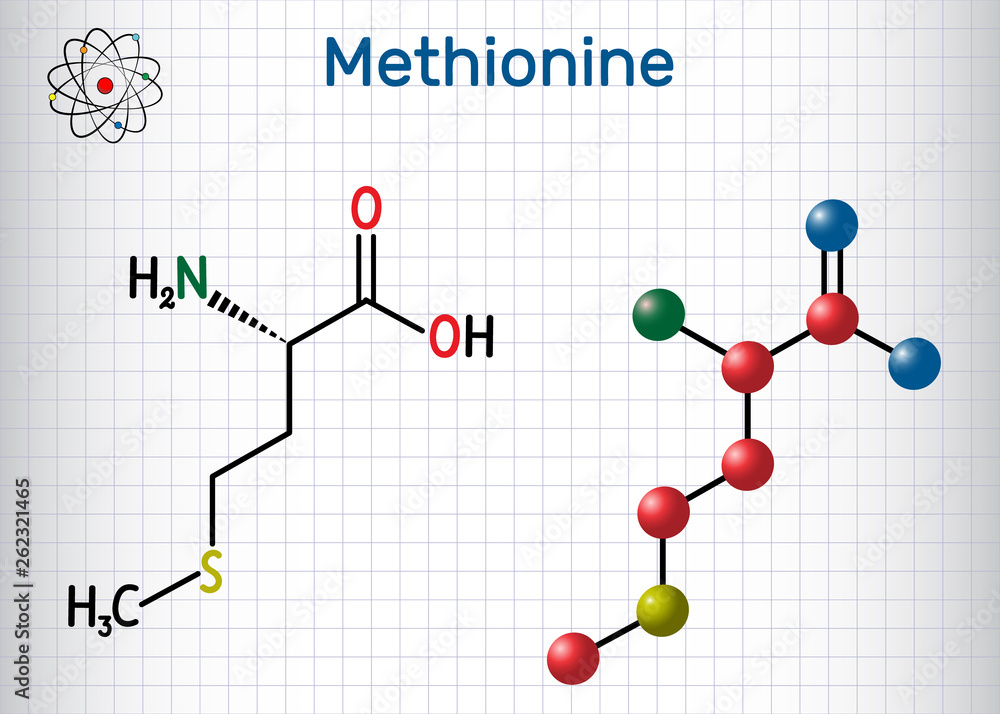 Methionine (l- methionine, Met , M) essential amino acid molecule. Sheet of paper in a cage. Structural chemical formula and molecule model Methionine (l- methionine, Met , M) essential amino acid molecule. Sheet of paper in a cage. Structural chemical formula and molecule model