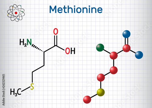 Methionine (l- methionine, Met , M) essential amino acid molecule.  Sheet of paper in a cage. Structural chemical formula and molecule model