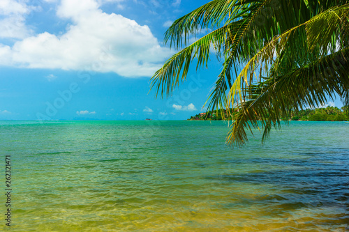 Fototapeta Naklejka Na Ścianę i Meble -  Sunny tropical beach, turquoise Thailand sea with palm trees