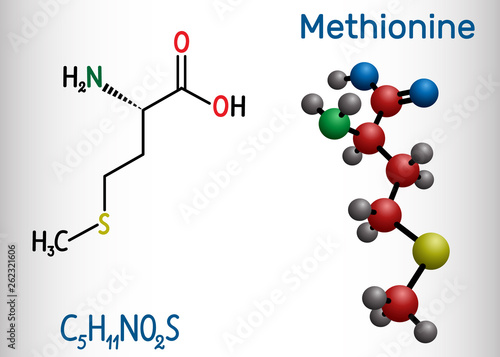 Methionine (l- methionine, Met , M) essential amino acid molecule.  Structural chemical formula and molecule model