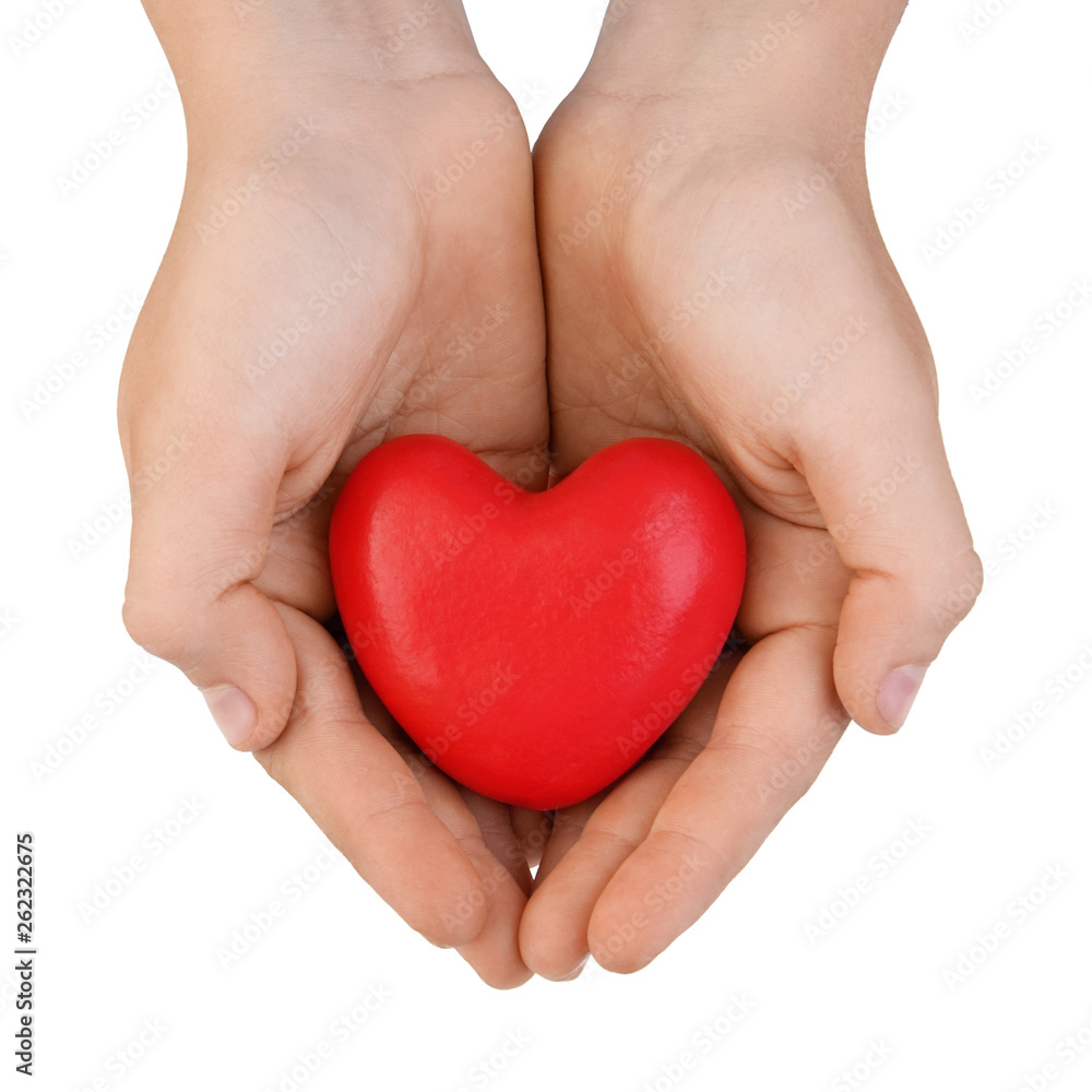 Heart in the hands of a boy, isolated on a white background. Concept of love or kindness. Heart in the hands of a boy, isolated on a white background. Concept of love or kindness.