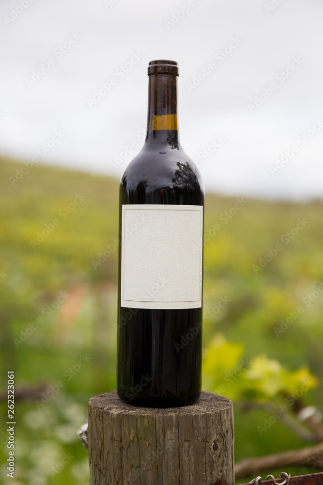 Blank Wine Bottle in Vineyard Sonoma Valley