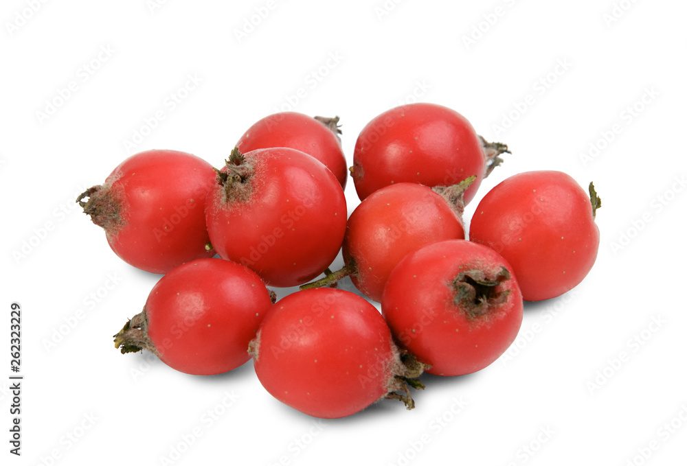 Group of bright red berries of hawthorn (crataegus submollis) isolated on white background. Group of bright red berries of hawthorn (crataegus submollis) isolated on white background.