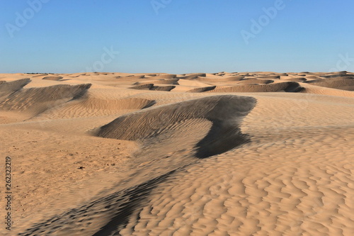 Dunes in the Sahara desert  lit by the morning sun.