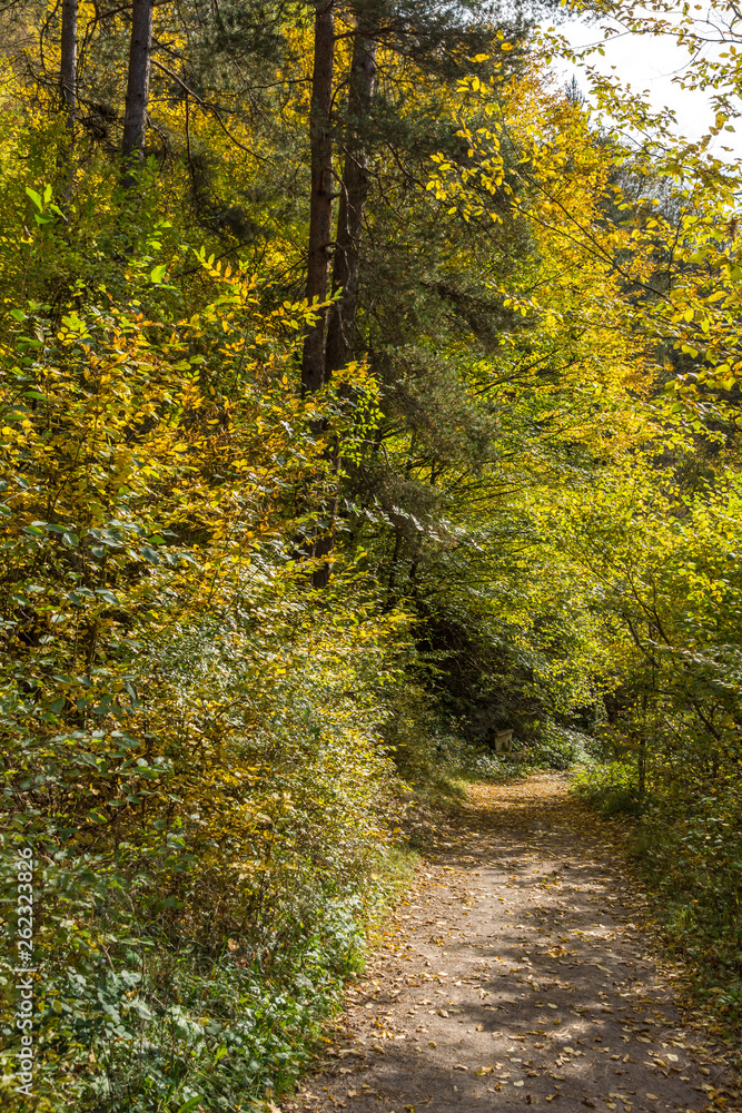 Autumn view of Ecotrail Struilitsa and Devin River gorge, Rhodope Mountains, Bulgaria Autumn view of Ecotrail Struilitsa and Devin River gorge, Rhodope Mountains, Bulgaria