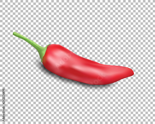 Red hot natural chili pepper pod realistic image with shadow vector illustration.
