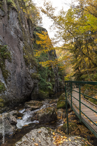 Amazing view of Devin river gorge, Rhodope Mountains, Bulgaria