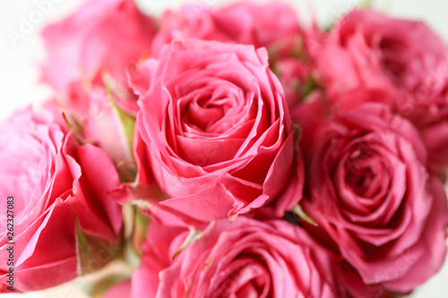 Beautiful fresh pink roses as background  closeup