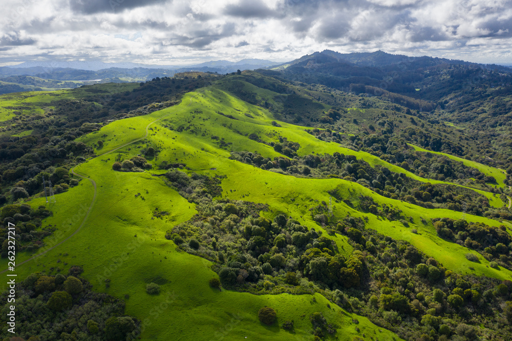 A wet winter has caused lush growth in the East Bay hills of Northern California.