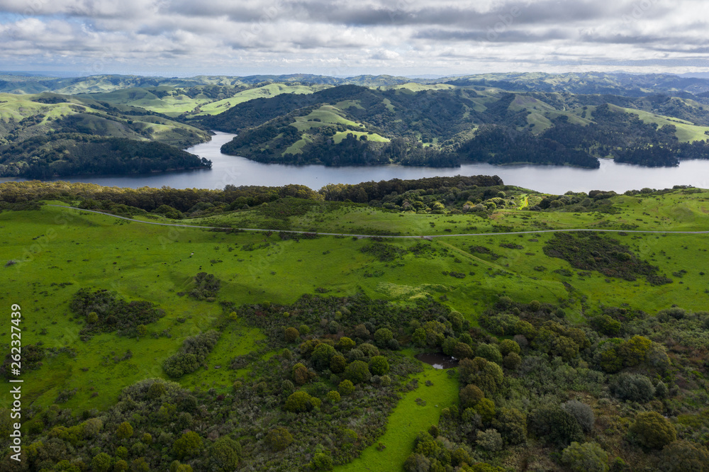 A wet winter in California has caused lush growth in the East Bay hills near San Francisco. 