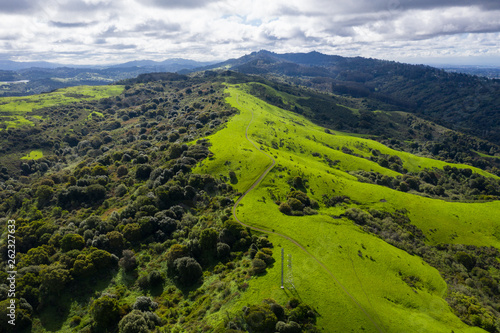 A wet winter in California has caused lush growth in the East Bay hills near San Francisco.  photo