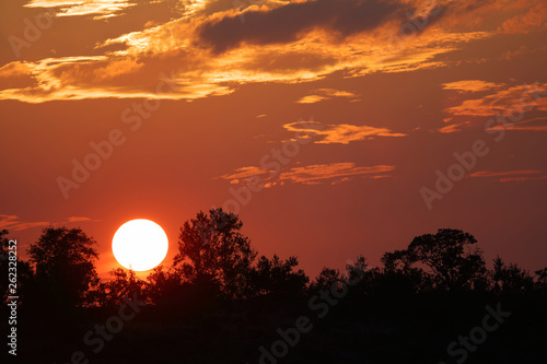 Sonnenuntergang Kr  ger Park   Sundown Kruger Park  