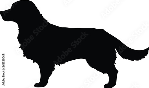Golden Retriever Silhouette