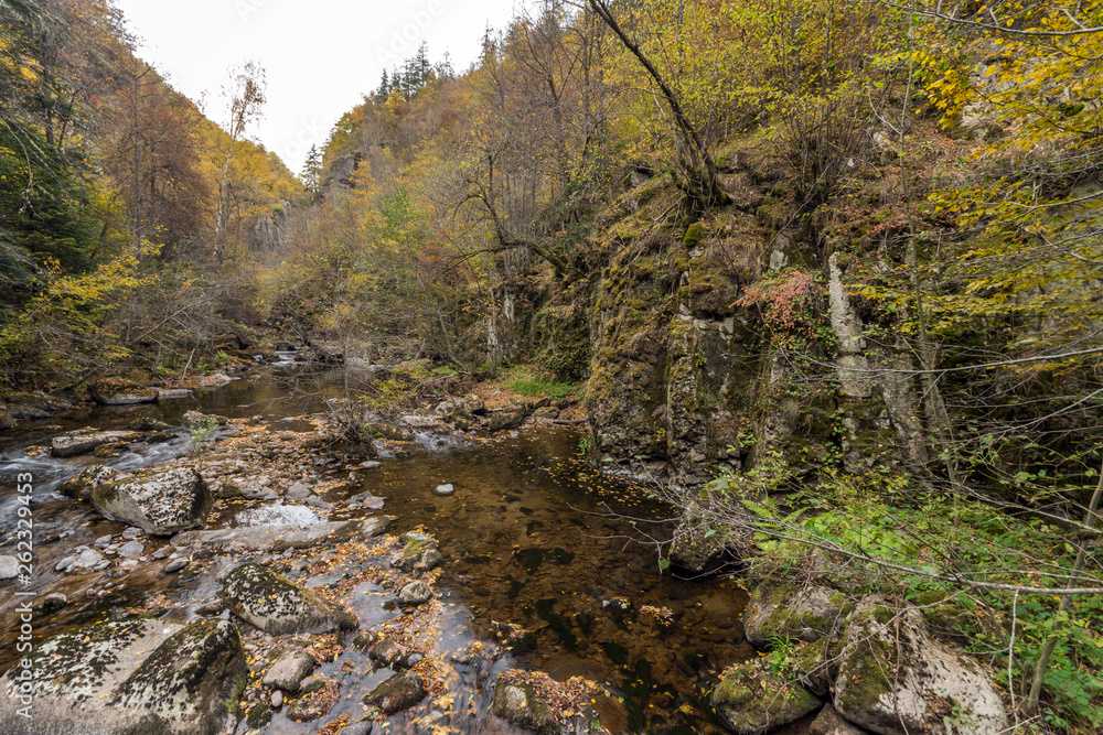 Amazing view of Devin river gorge, Rhodope Mountains, Bulgaria Amazing view of Devin river gorge, Rhodope Mountains, Bulgaria