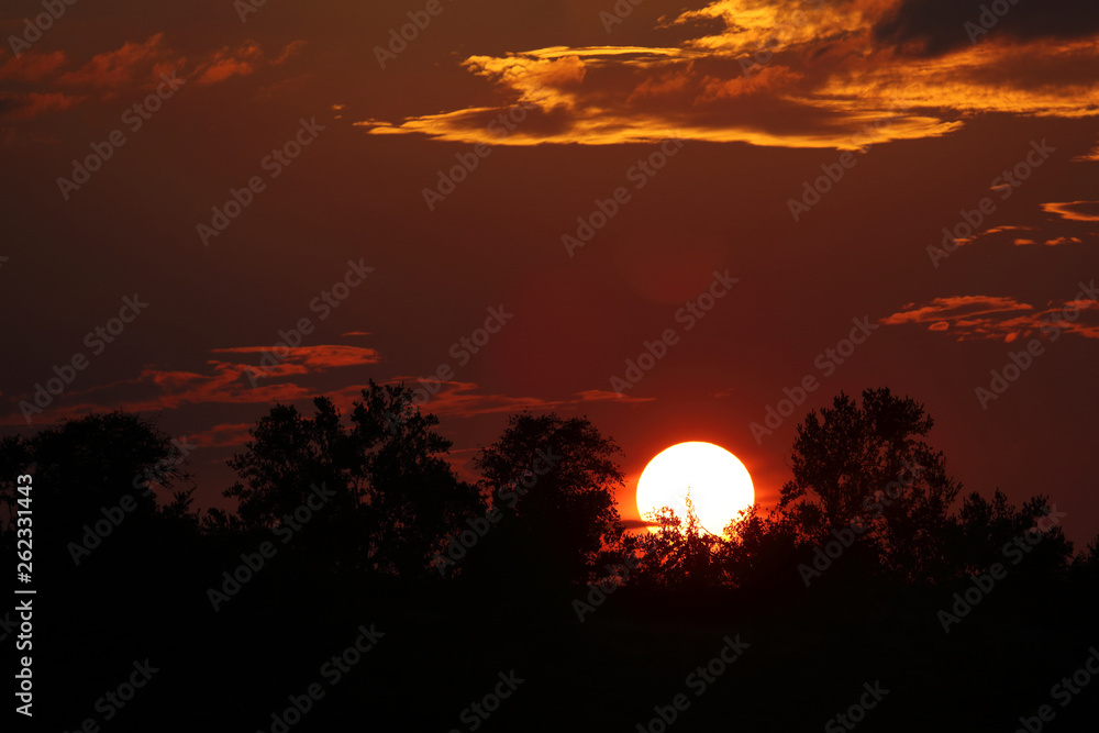 Obraz premium Sonnenuntergang Krüger Park / Sundown Kruger Park /