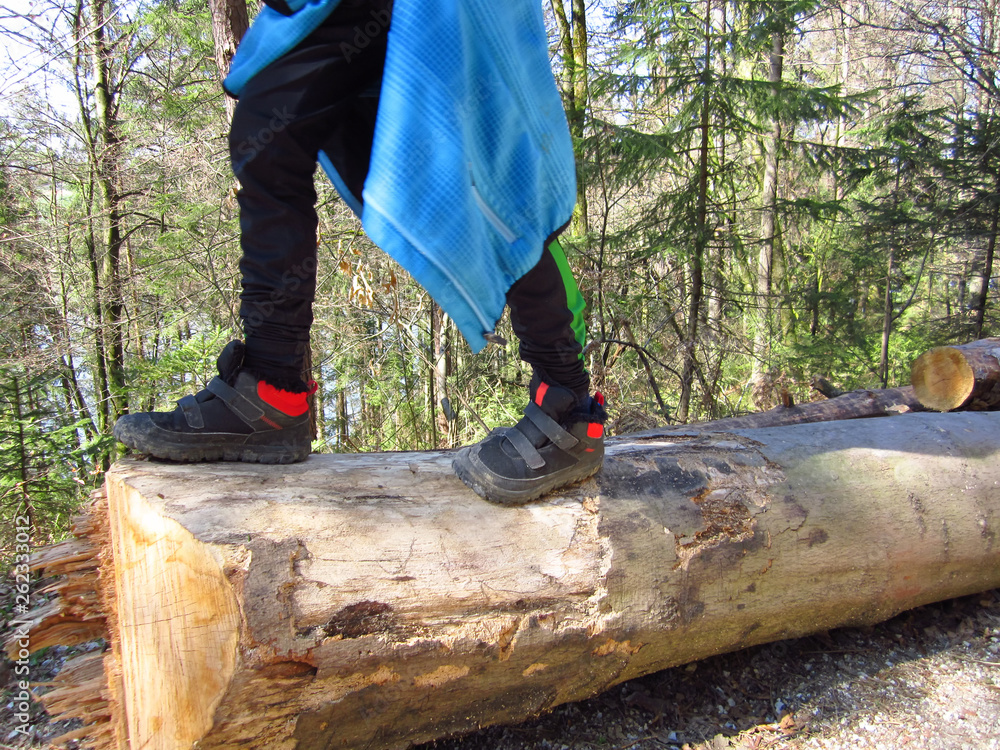 Boy child walking on tree trunks stimulates motor development and balance Boy child walking on tree trunks stimulates motor development and balance