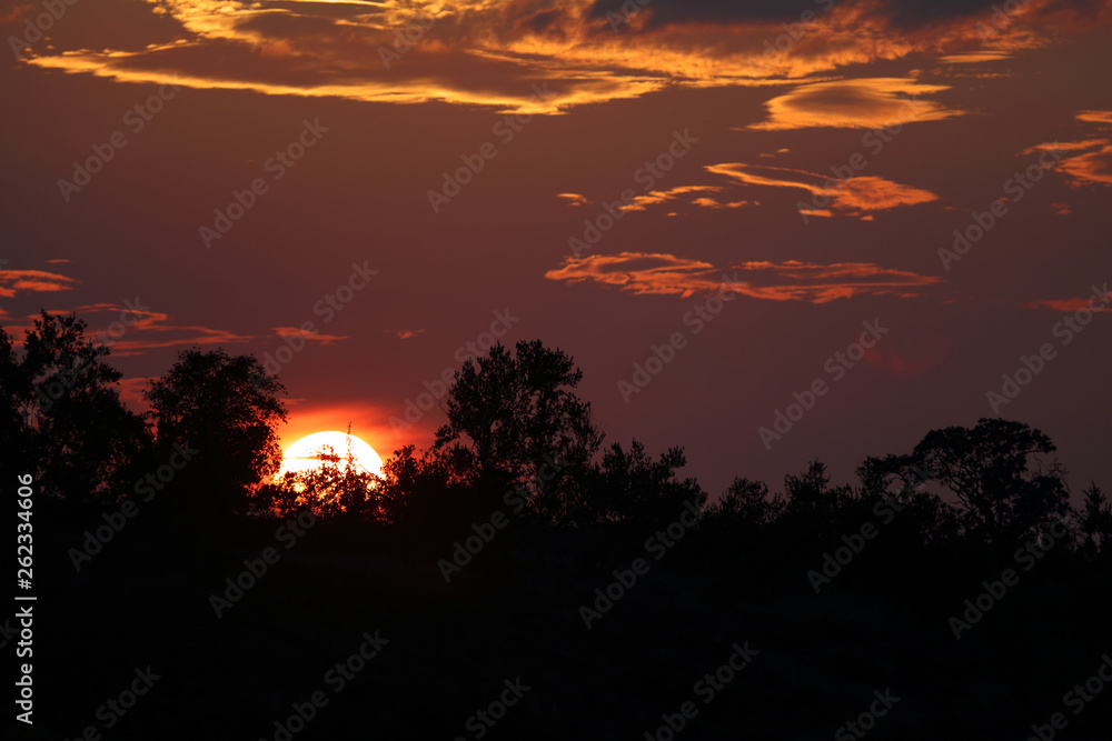Sonnenuntergang Krüger Park / Sundown Kruger Park /