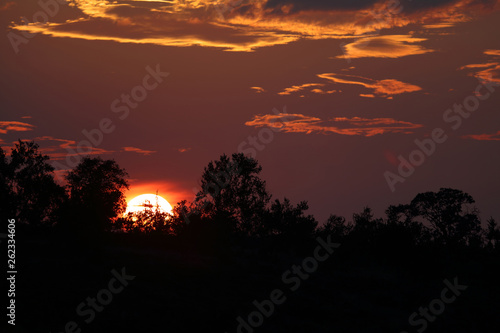 Sonnenuntergang Krüger Park / Sundown Kruger Park /