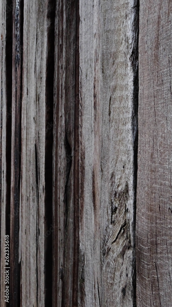 Fototapeta premium Textur Holzstruktur Baum