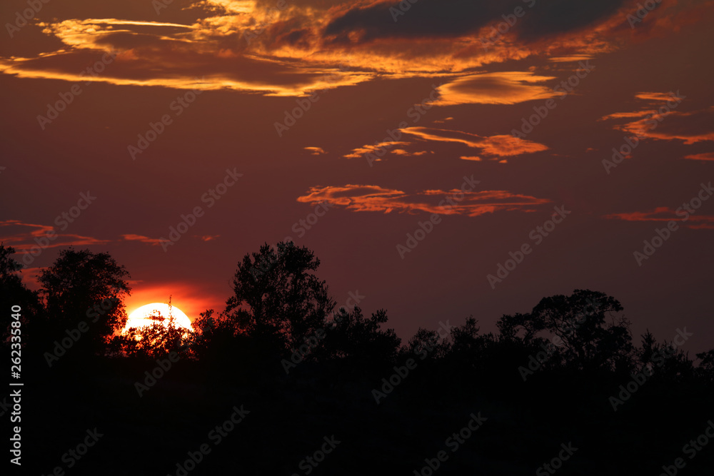 Sonnenuntergang Krüger Park / Sundown Kruger Park / Sonnenuntergang Krüger Park / Sundown Kruger Park /