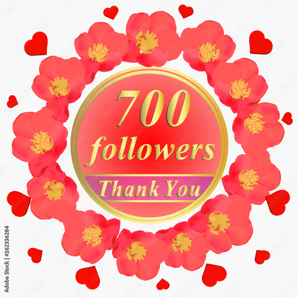 Fotografija 700 followers