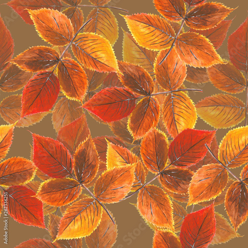 Yellow-red autumn leaves with transparent elements on brown background