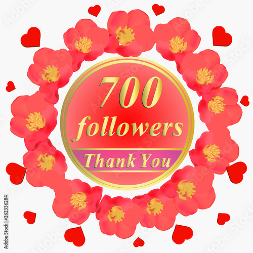 Fotografija 700 followers