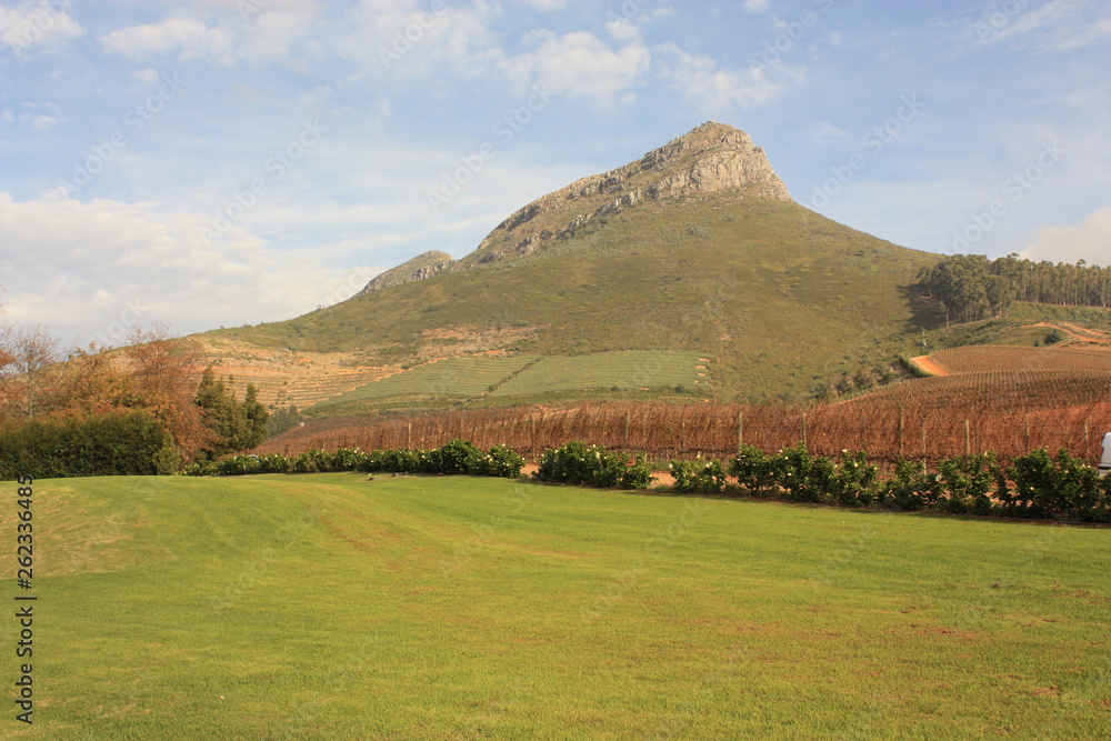 Vignes Stellenbosch Afrique du Sud Delaire Graff Vignes Stellenbosch Afrique du Sud Delaire Graff