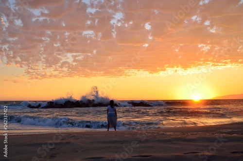 golden sunset at venice beach California