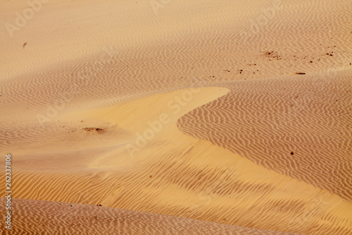 Fototapeta Naklejka Na Ścianę i Meble -  Shapes of the desert sand