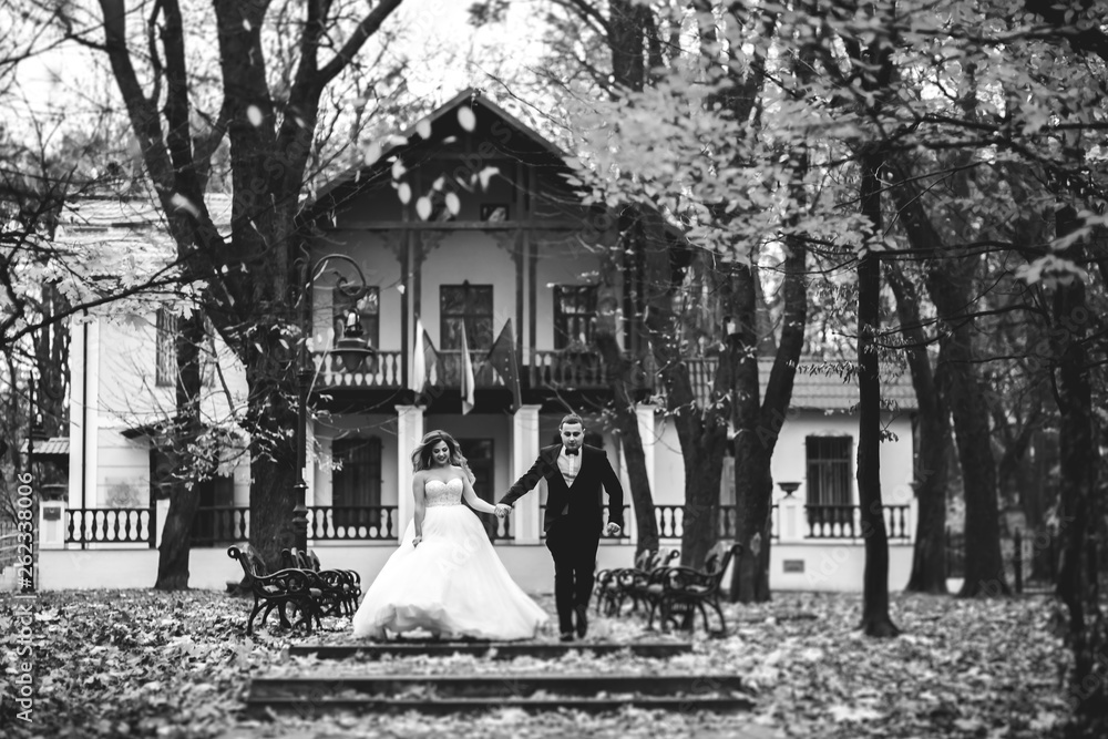 Beautiful romantic wedding couple of newlyweds hugging in park Beautiful romantic wedding couple of newlyweds hugging in park