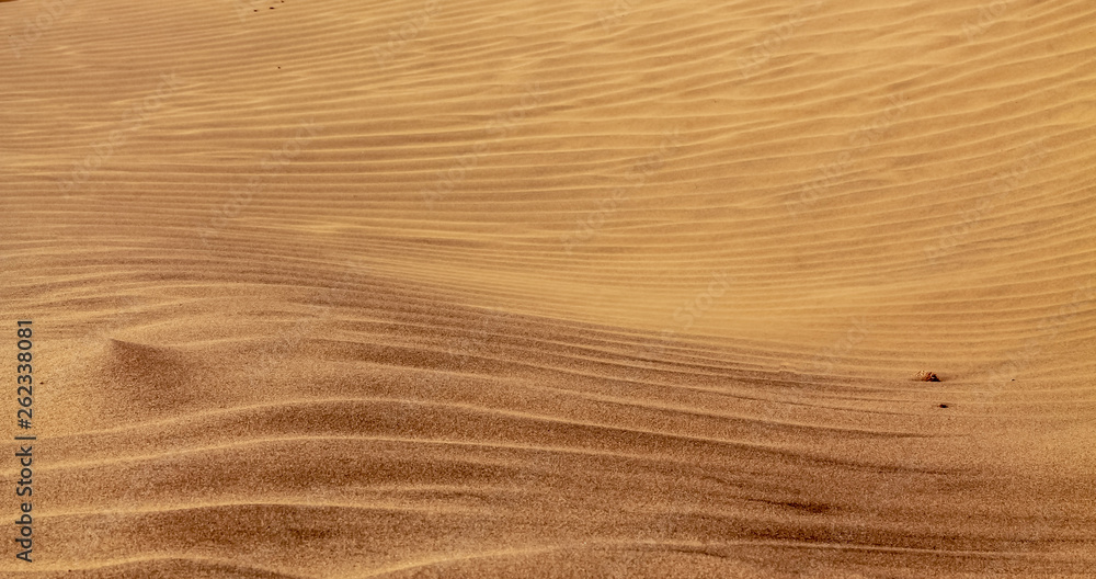 Naklejka premium Shapes of the desert sand