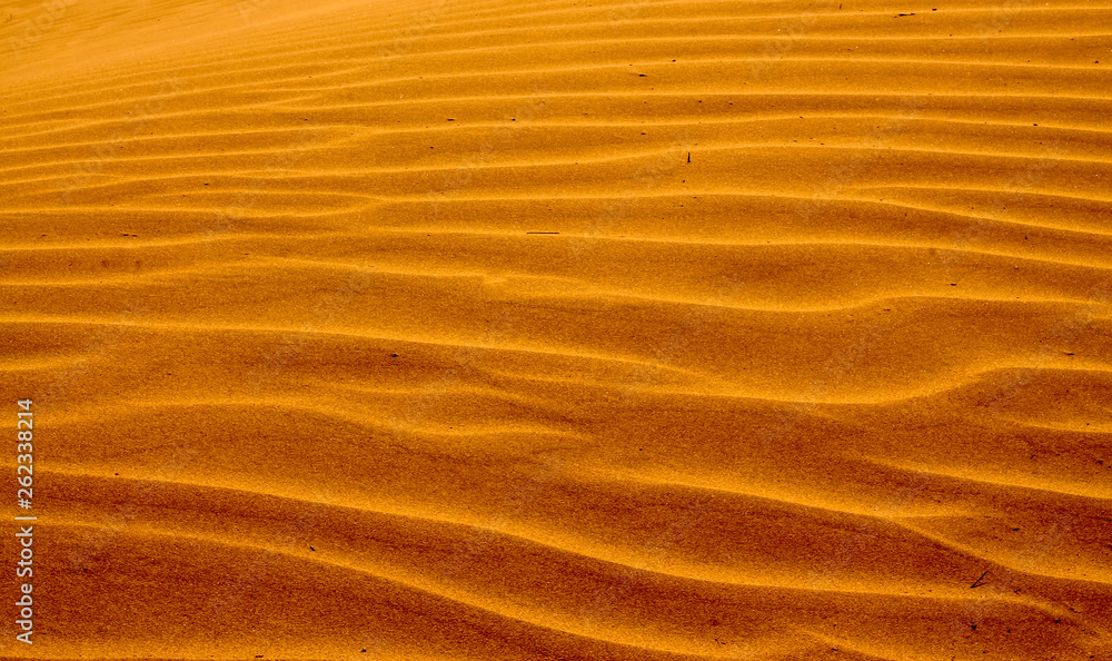 Shapes of the desert sand Shapes of the desert sand