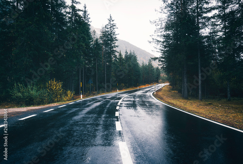 Road in the spring forest i...