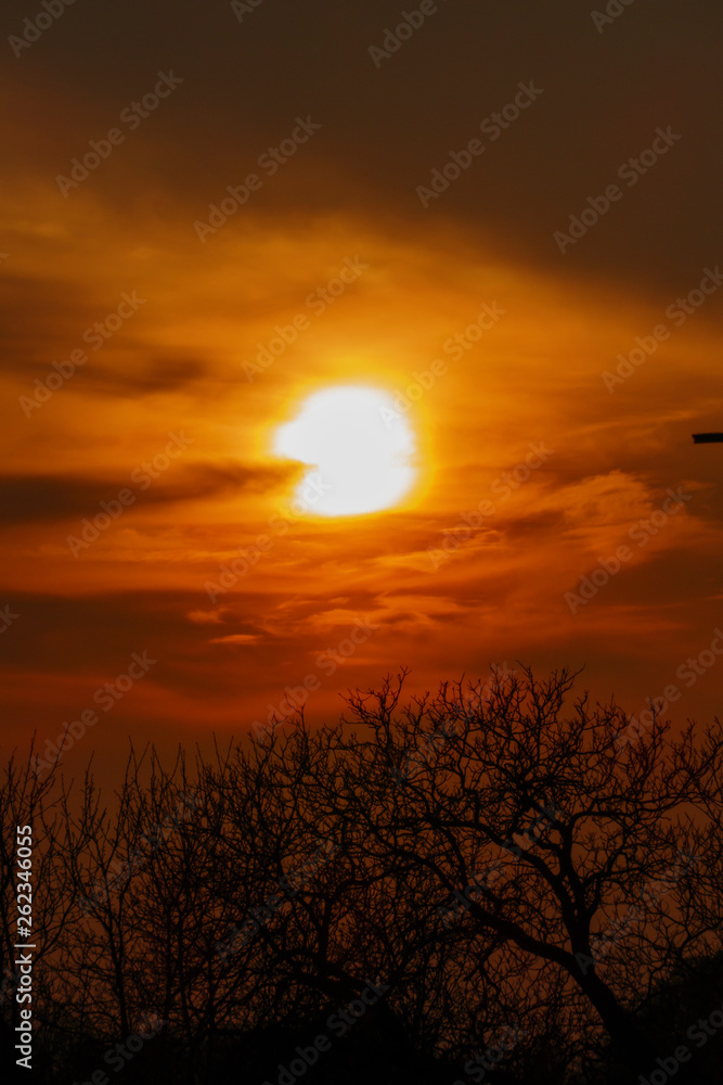 Abendrot, Sonnenuntergang mit Silhouette von Bäumen