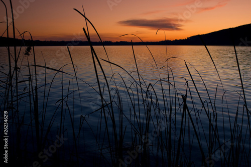 Colorful sunset on the rushes. Comabbio Lake  near Varese  in North of Italy