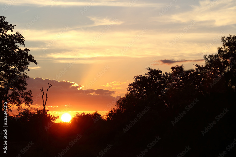 Sonnenuntergang Krüger Park / Sundown Kruger Park /