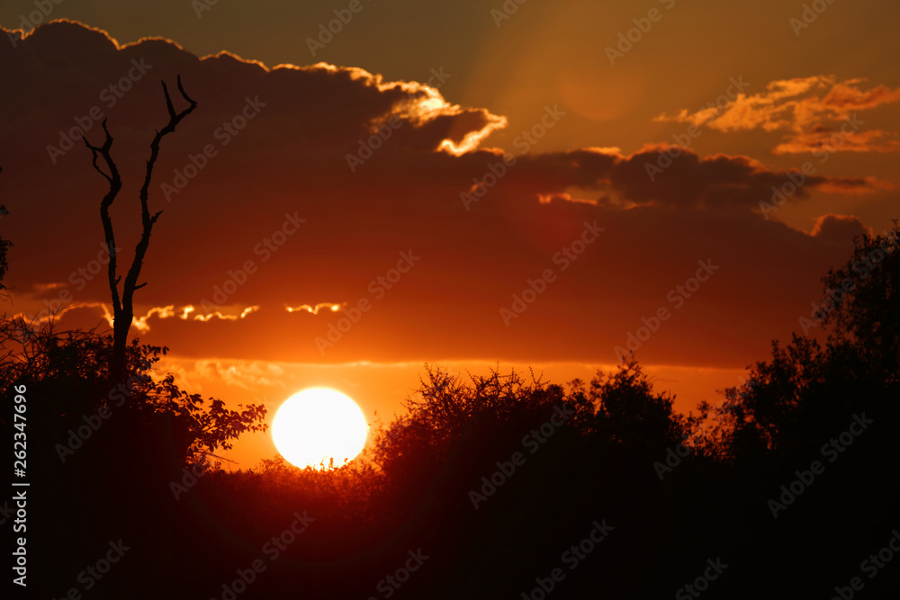 Sonnenuntergang Krüger Park / Sundown Kruger Park /