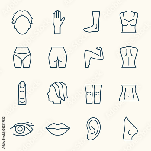 Body parts line icon set