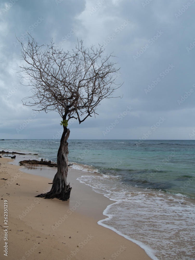 Corn Island beach. Corn Island. Nicaragua.