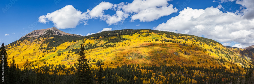 Autumn colors the foliage of aspen trees on mountain side along the Chalk Creek Valley near St Elmo, Colorado