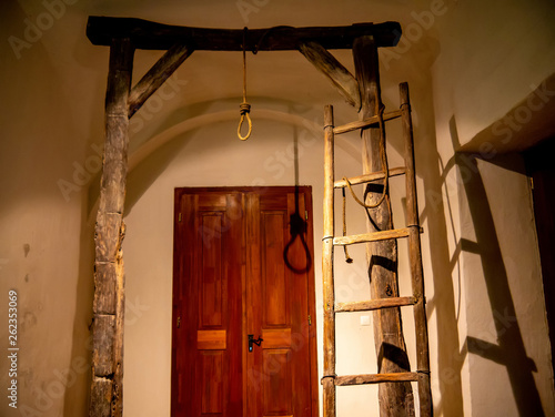 Foto View on a gallows tree
