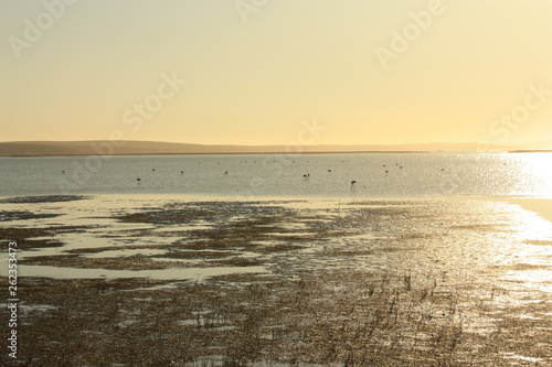 West Coast National Park Afrique du Sud